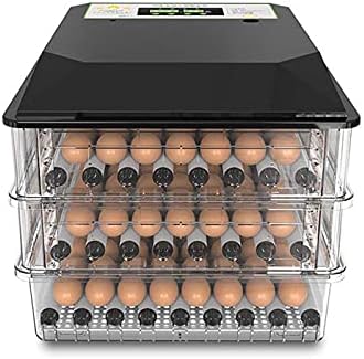 ביצת חממה, ביצים ביתי דיגיטלי ביצת חממה, חממה אינטליגנטית, ביצת חממה, עוף, ברווז ואווז חממה