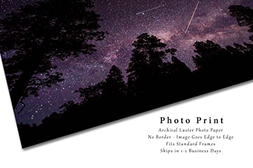 לילה שמיים צילום הדפסת תמונה של כוכב נופל לווין ומטוס מעל אורן עץ צלליות בקולורדו שביל החלב קיר אמנות טבע דקור 4 על 6 כדי 30 על 45